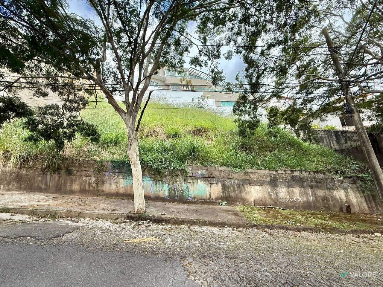 Lote à venda no Comiteco: 