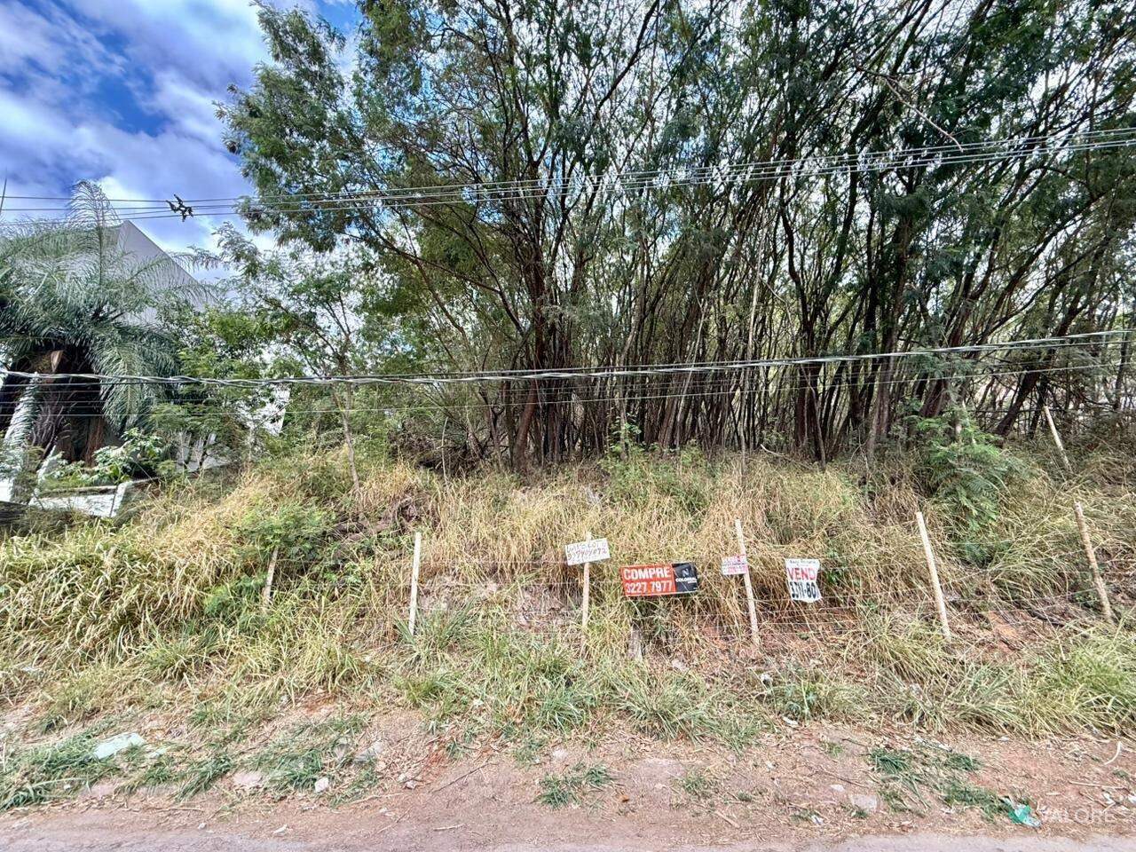 Lote à venda no Santa Lúcia: 