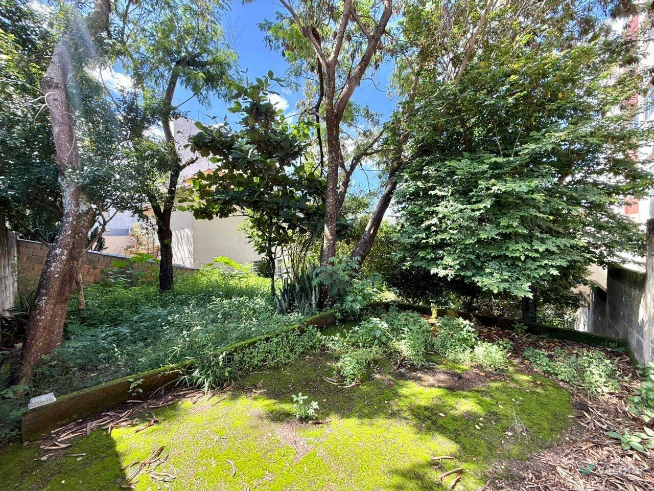 Lote à venda no Santa Lúcia: 