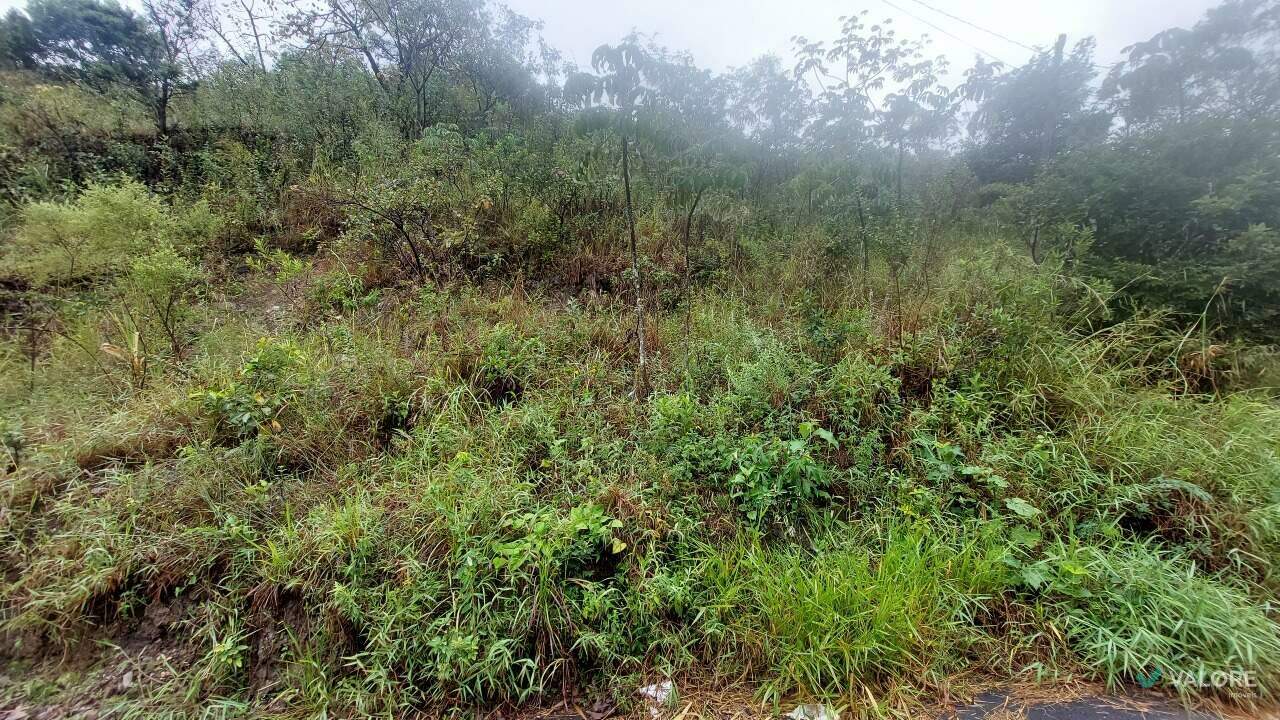 Lote à venda no Comiteco: 