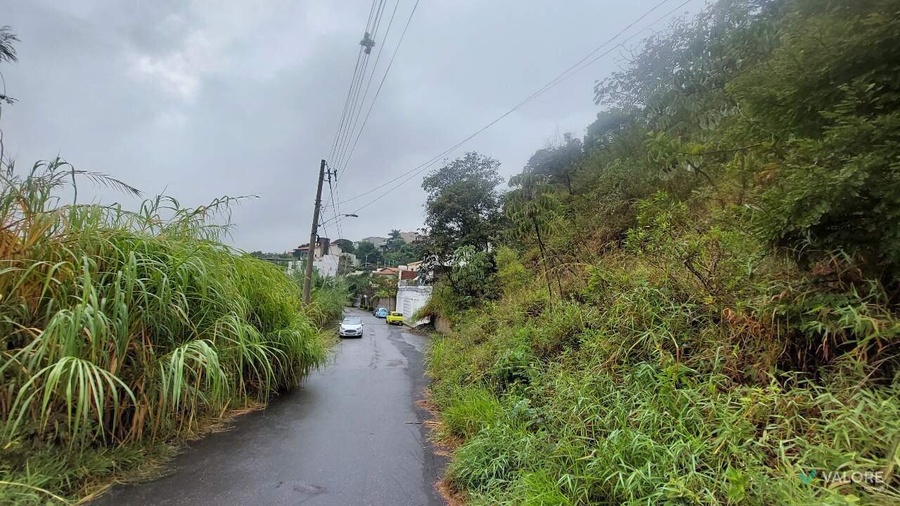 Lote à venda no Comiteco: 