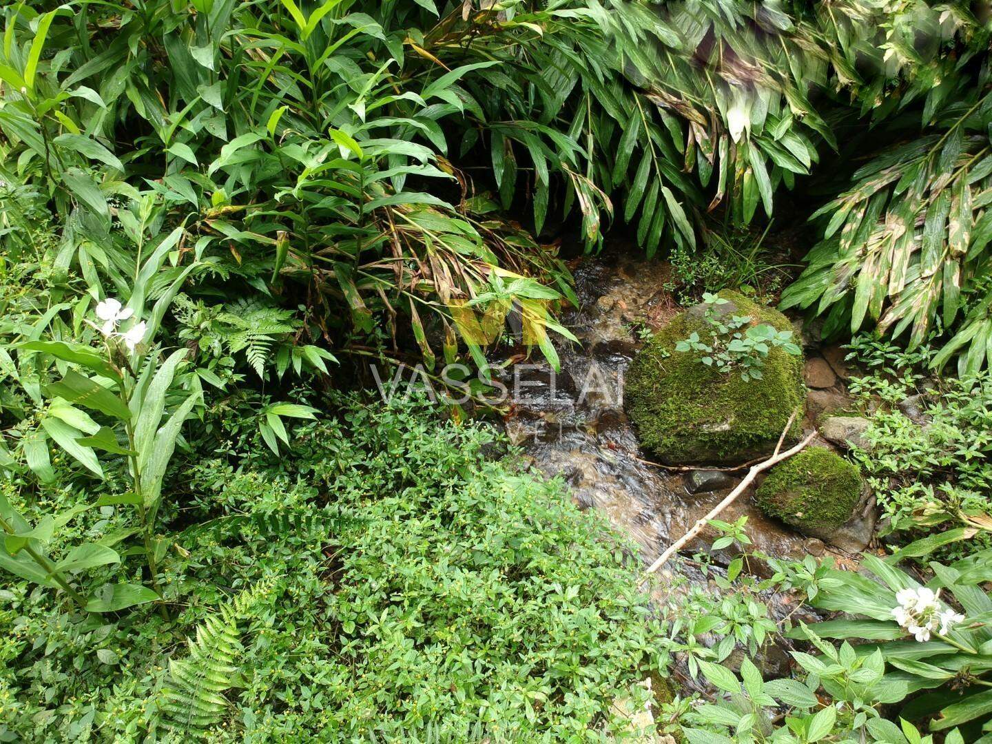 Terreno à venda no Corruchel: image2.jpg