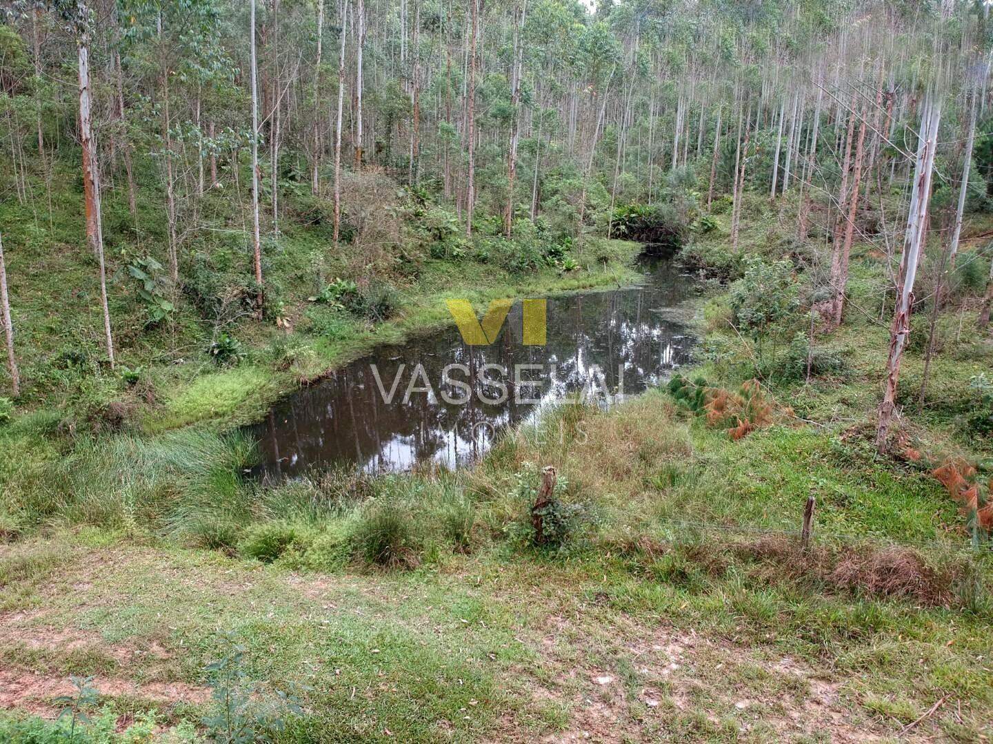 Terreno à venda no Corruchel: image8.jpg
