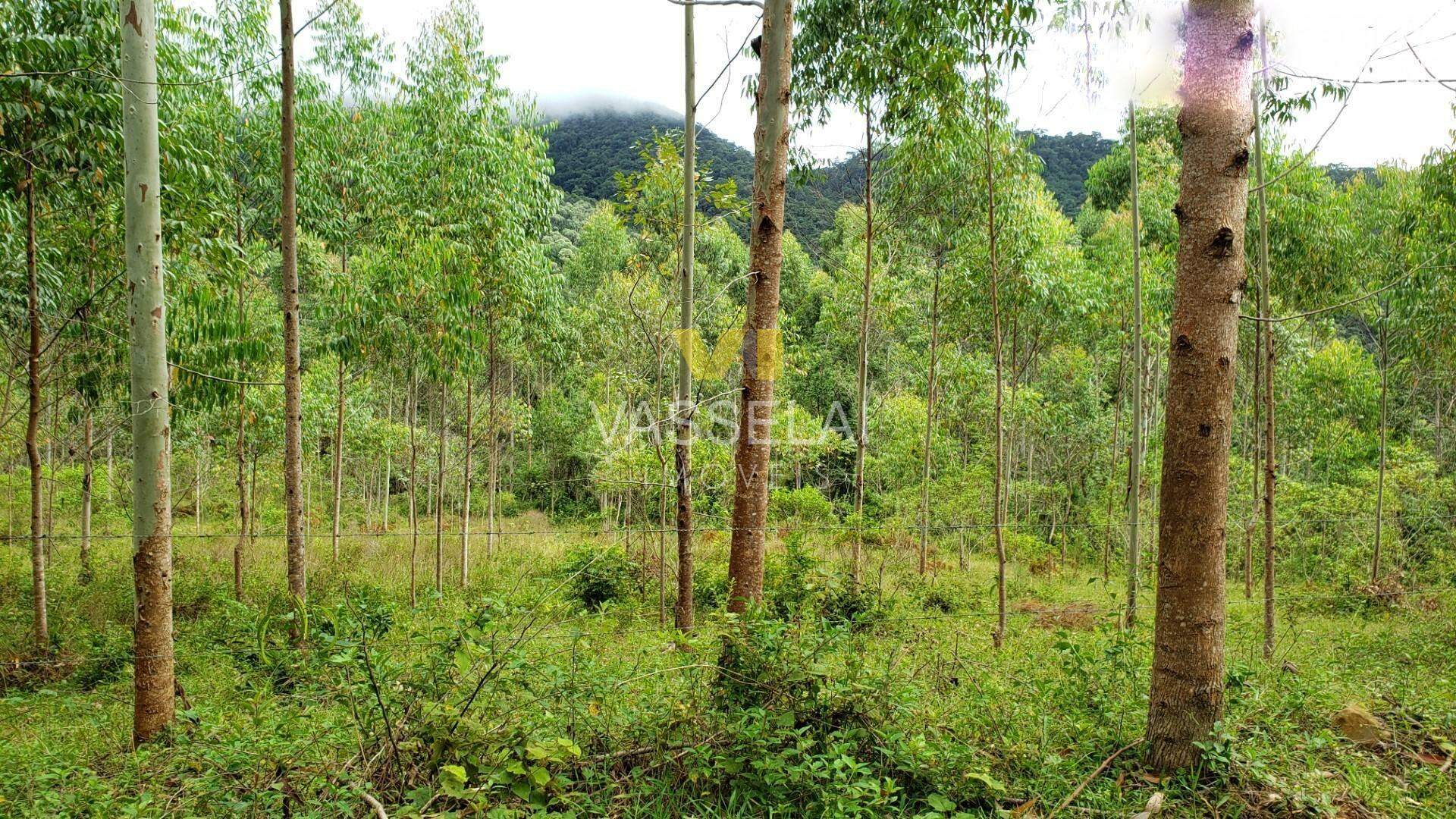 Terreno à venda no Corruchel: image11.jpg