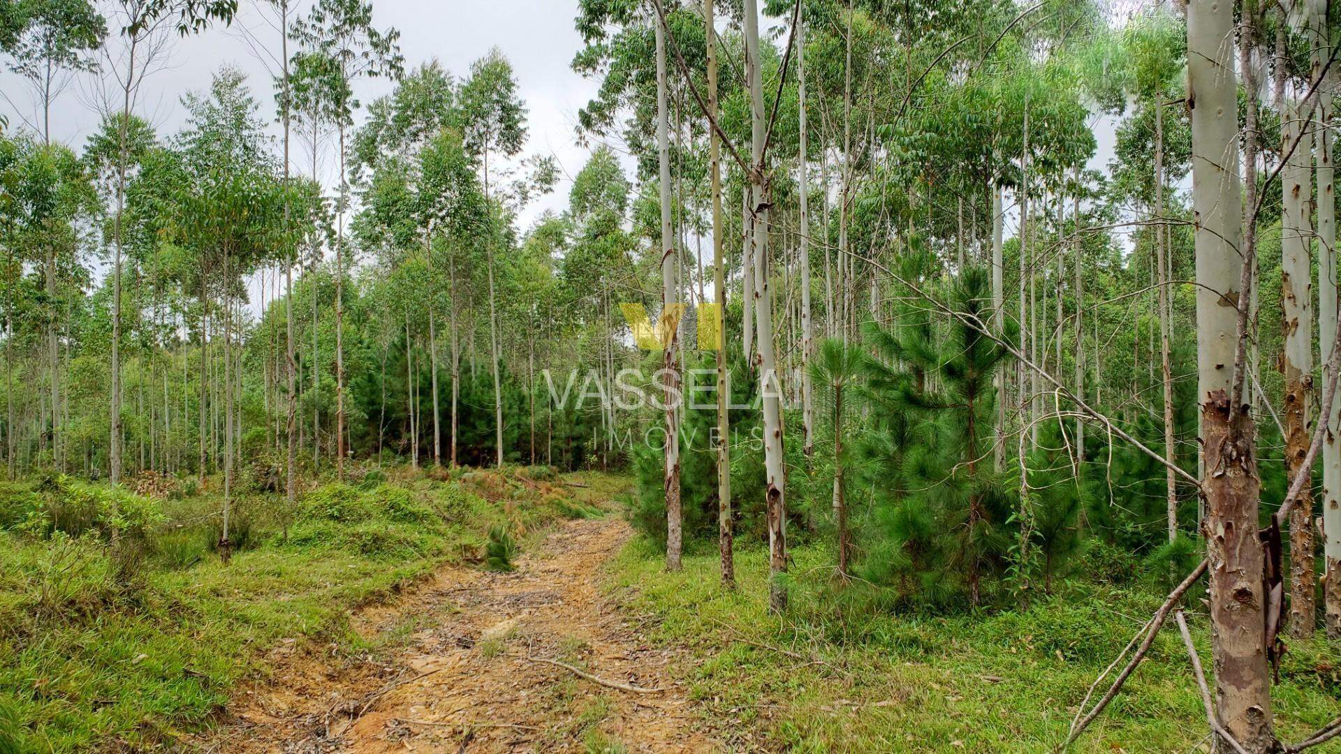 Terreno à venda no Corruchel: image15.jpg