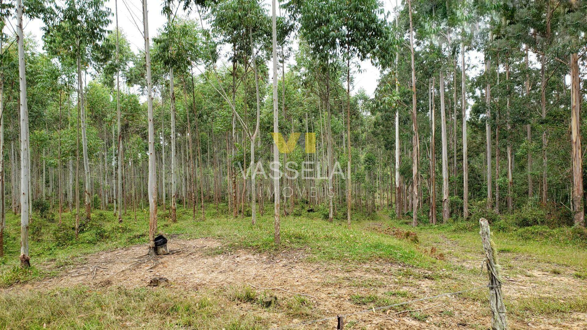 Terreno à venda no Corruchel: image23.jpg