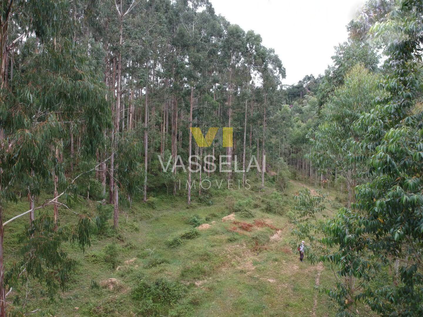 Terreno à venda no Corruchel: image10.jpg