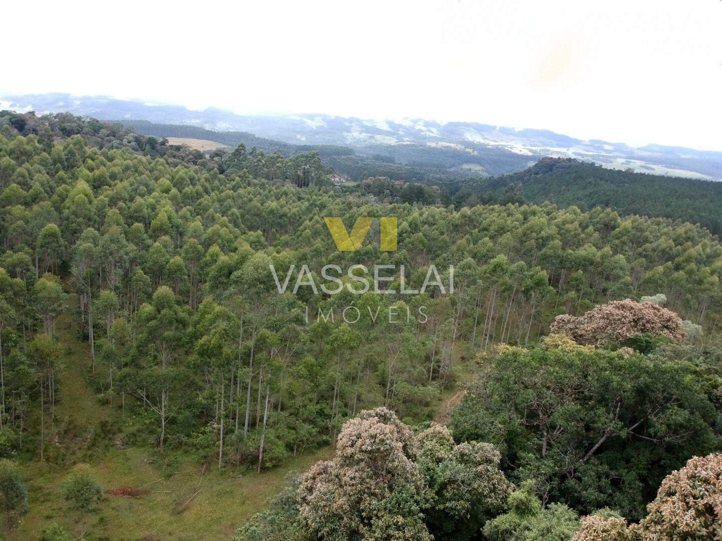 Terreno à venda no Corruchel: image19.jpg