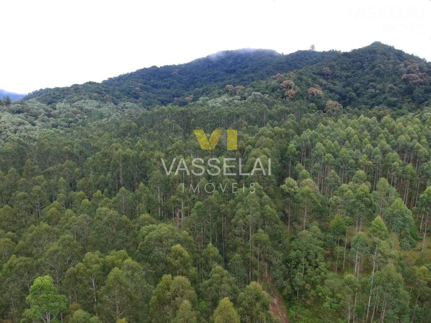Terreno à venda no Corruchel: image17.jpg