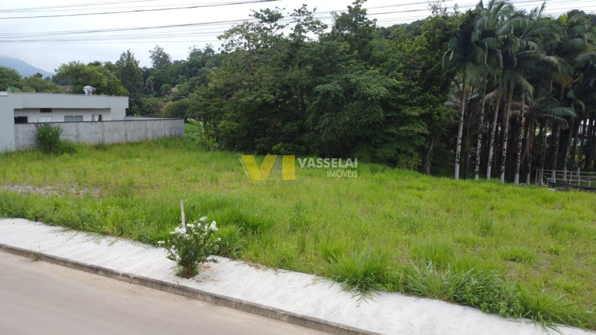 Terreno à venda no Bremer: WhatsApp Image 2025-02-27 at 14.33.30 (3).jpeg