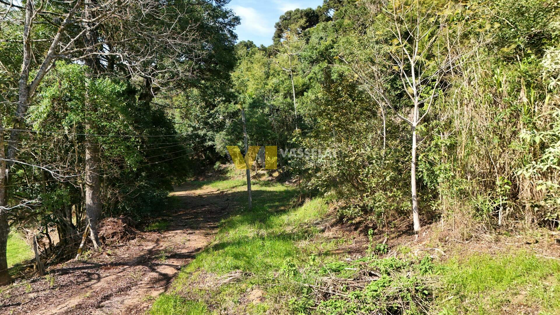 Terreno à venda no Fundo Canoas: DJI_20250822100017_0025_D.JPG