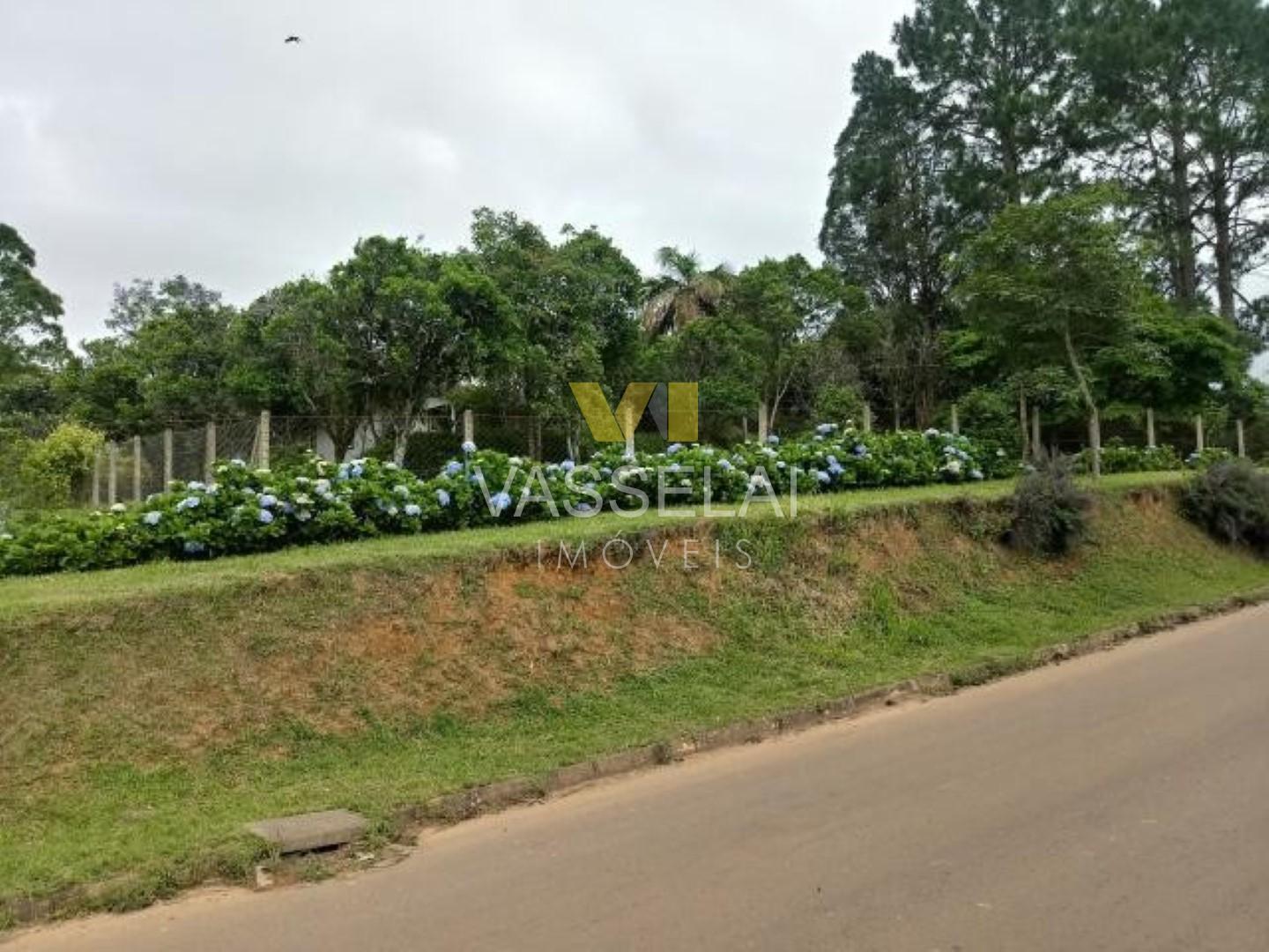 Terreno à venda no Bela Aliança: 1573565465.08_pw.jpg