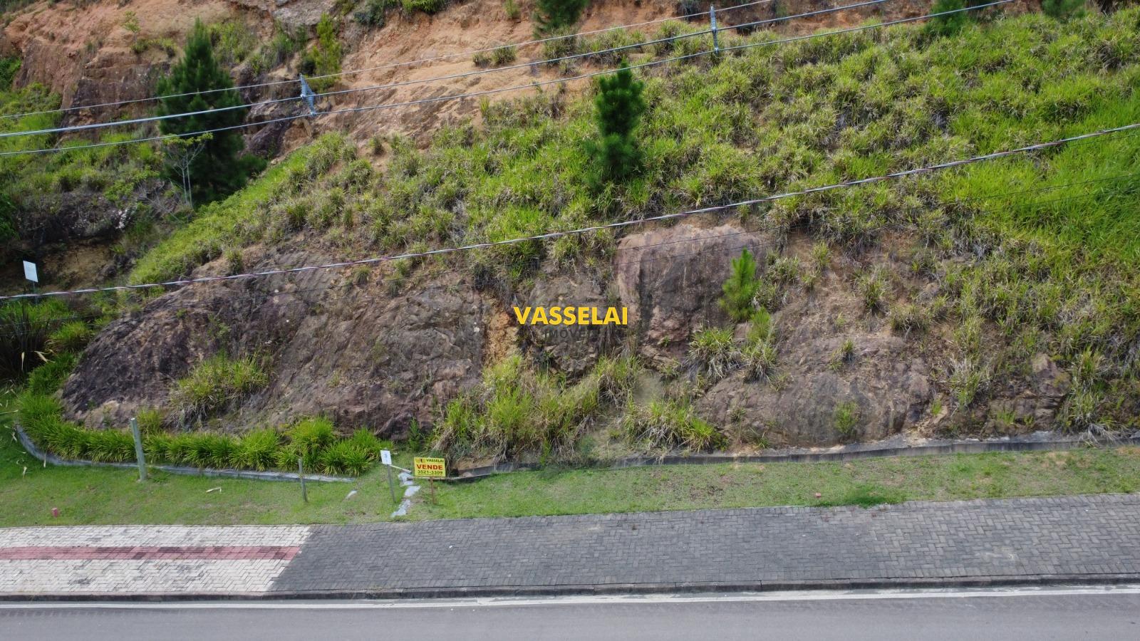 Terreno à venda no Albertina: 