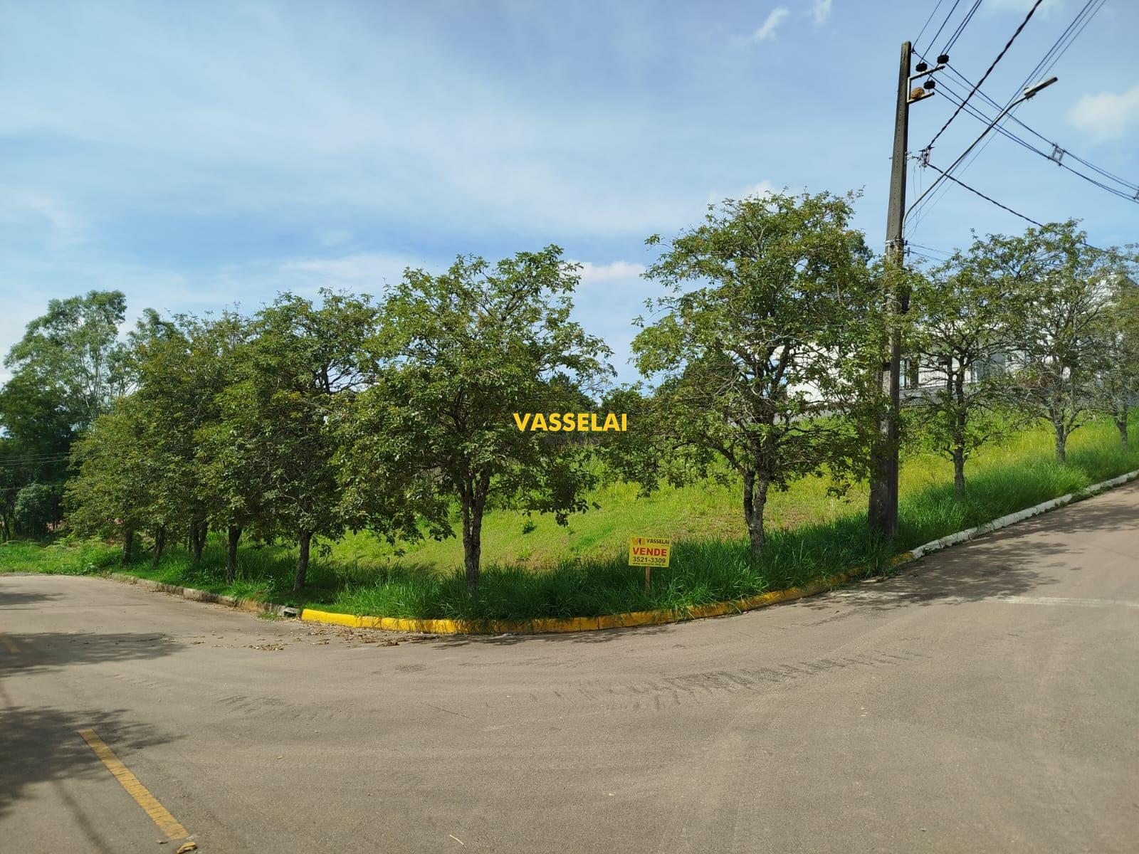 Terreno à venda no Laranjeiras: 