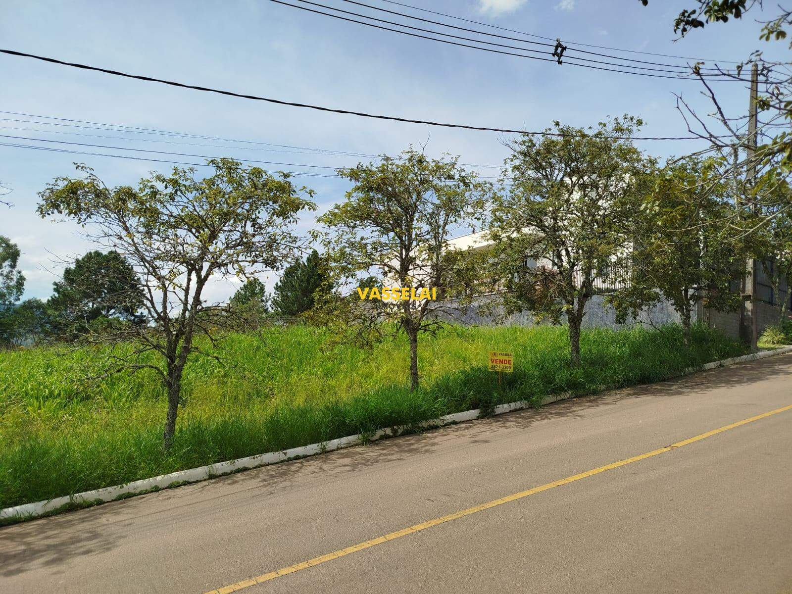 Terreno à venda no Laranjeiras: 