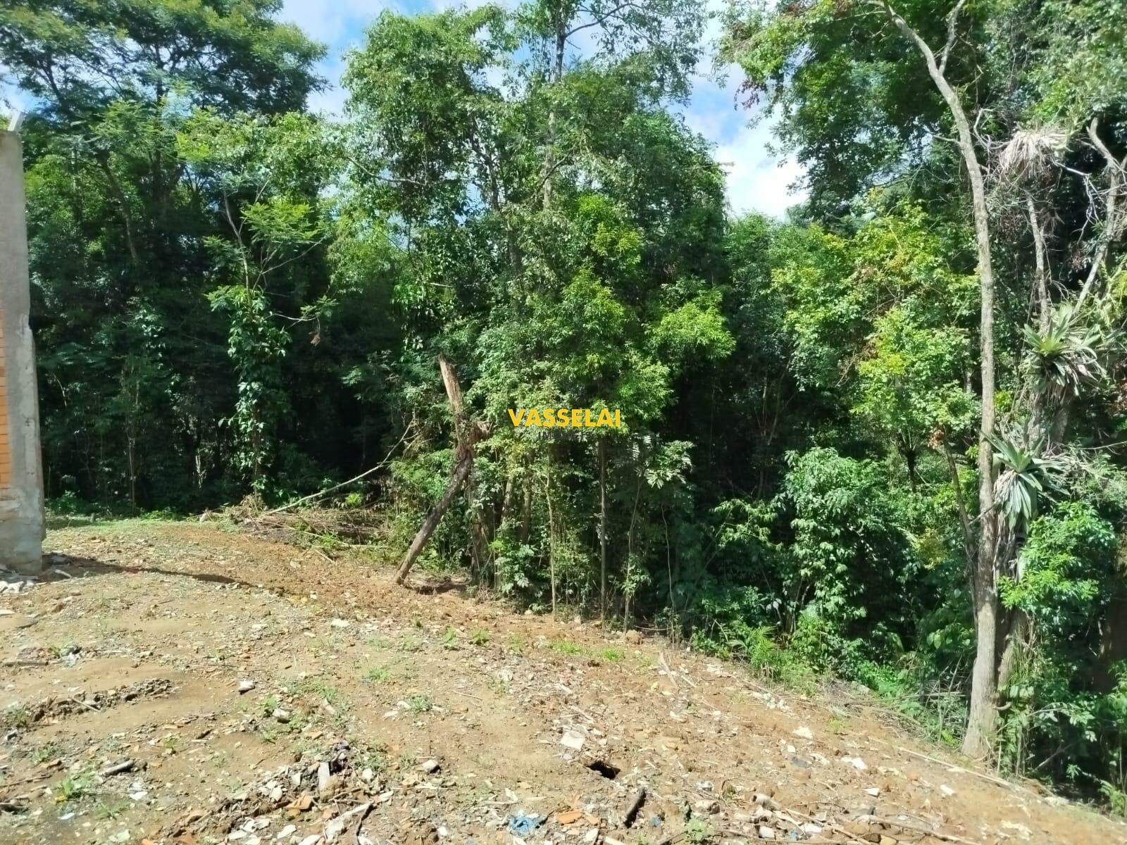 Terreno à venda no Fundo Canoas: