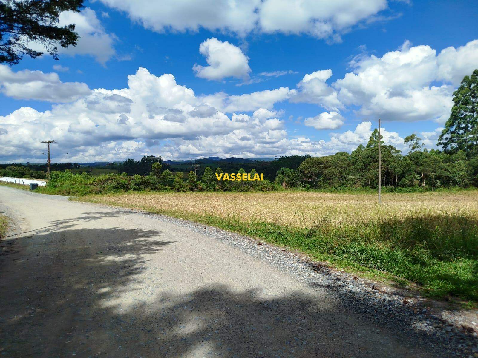 Terreno à venda no SERRA TABOÃO: 