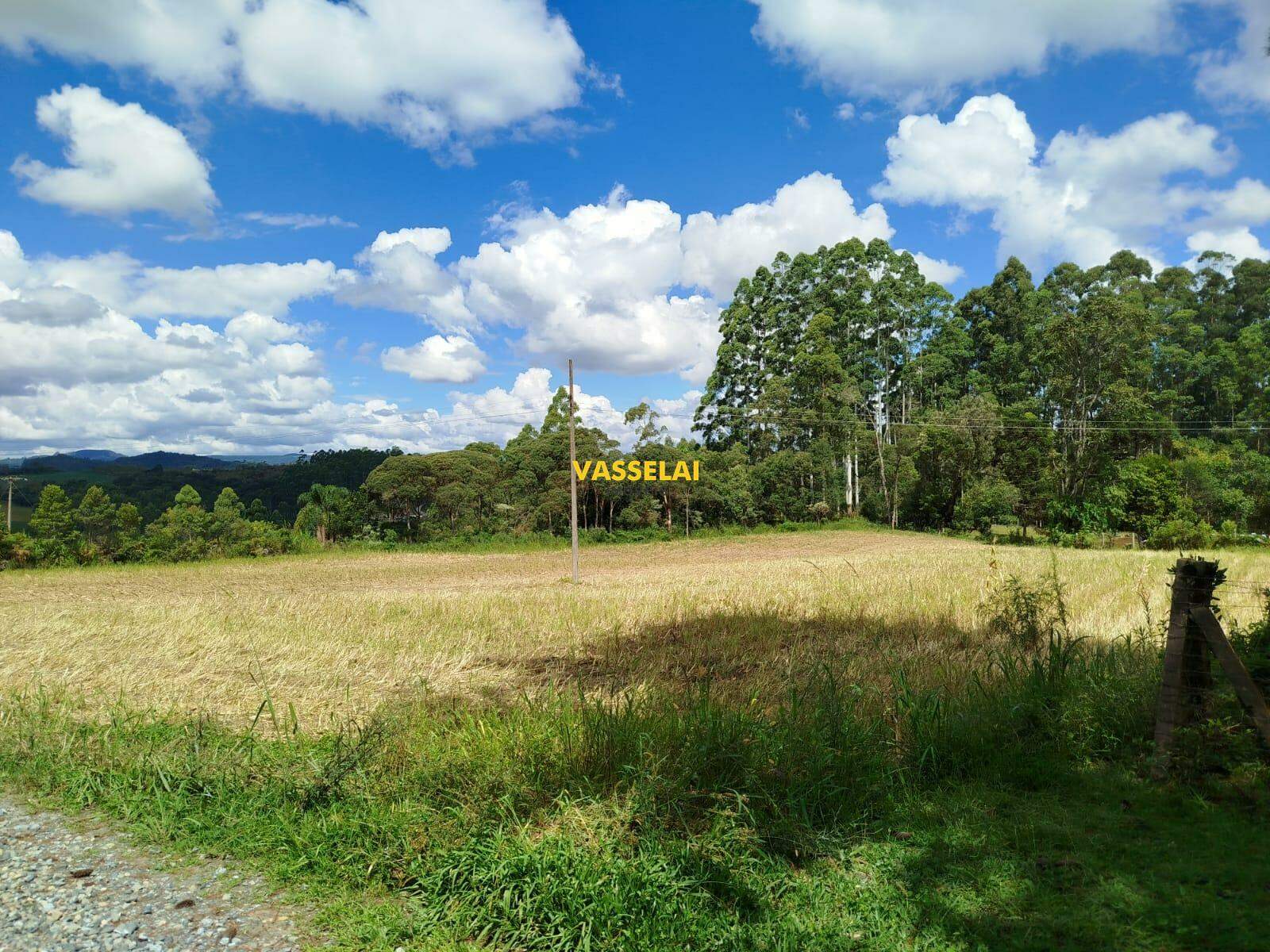Terreno à venda no SERRA TABOÃO: 