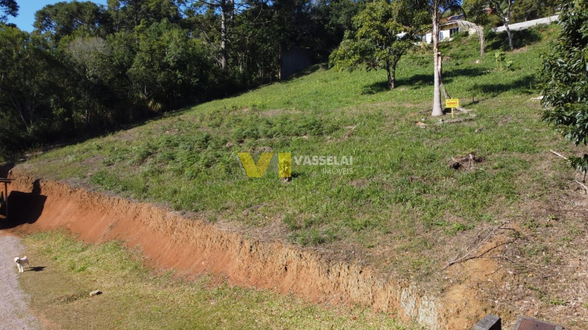 Terreno à venda no Fundo Canoas: 1.3.jpg