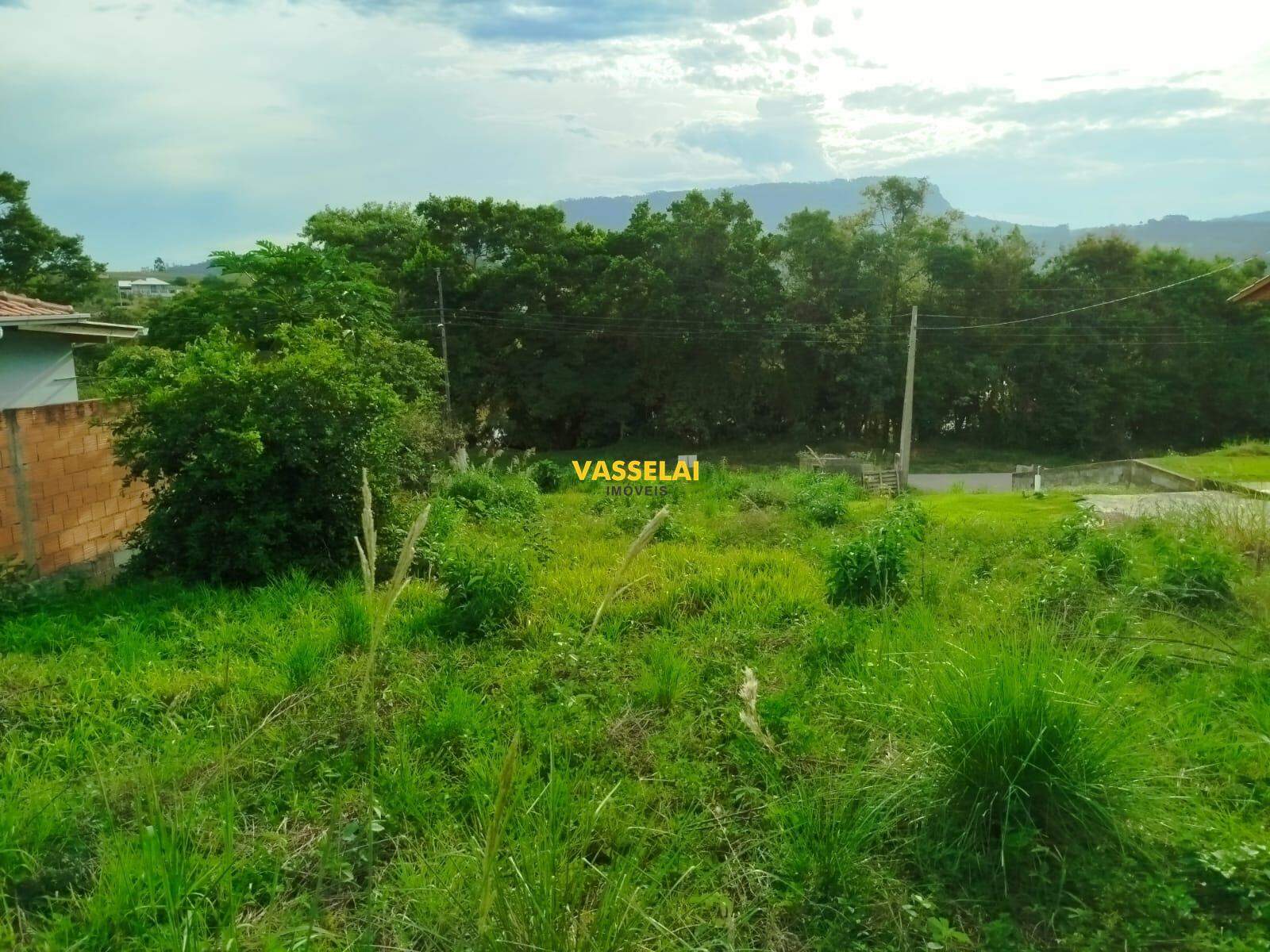 Terreno à venda no Riachuelo: 