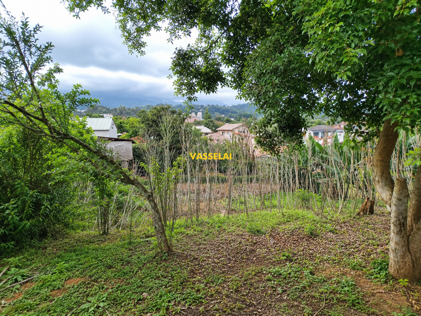 Casa à venda no Eugênio Schneider: 