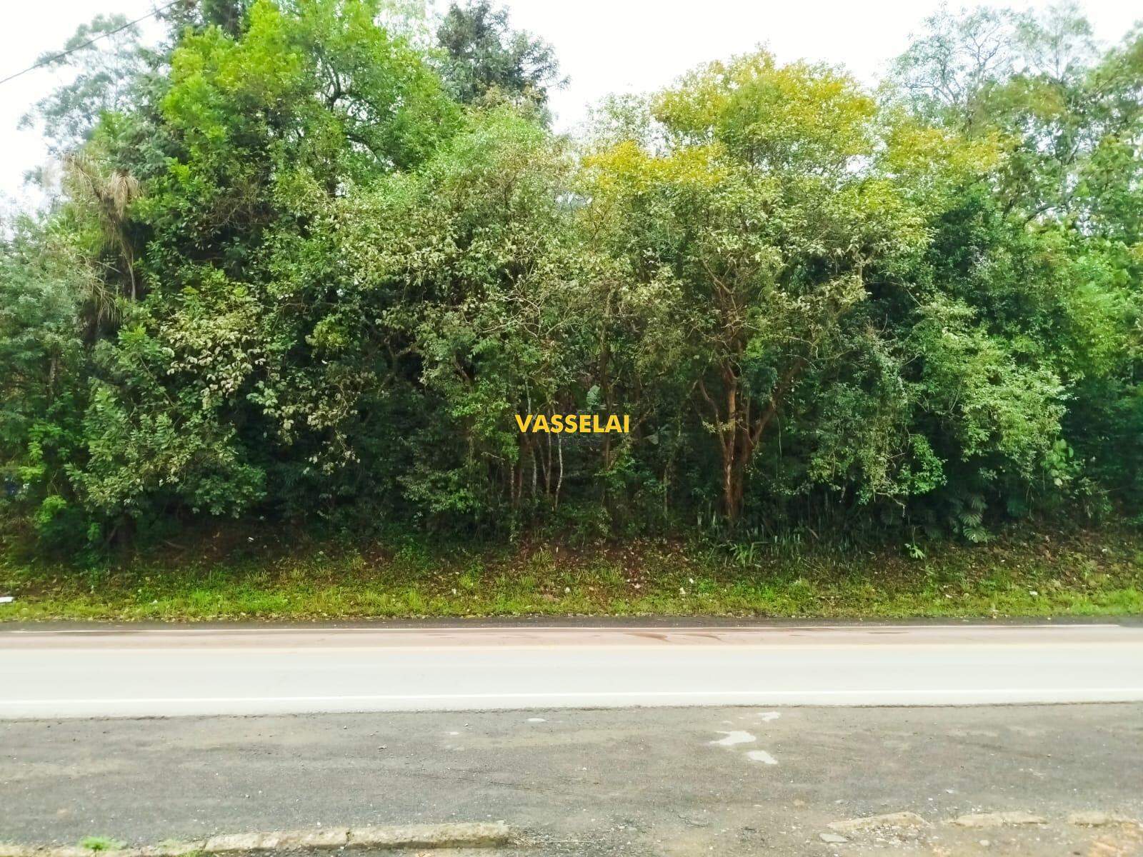 Terreno à venda no SANTA TEREZA: 