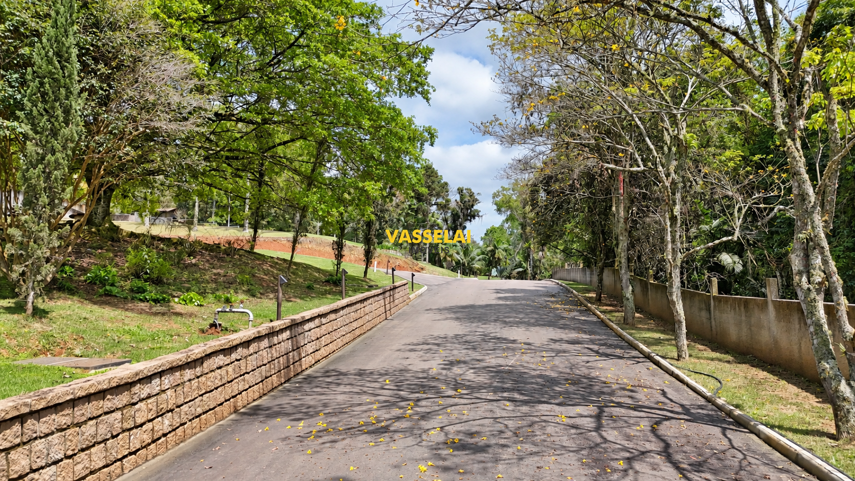 Terreno à venda no Sumaré: 