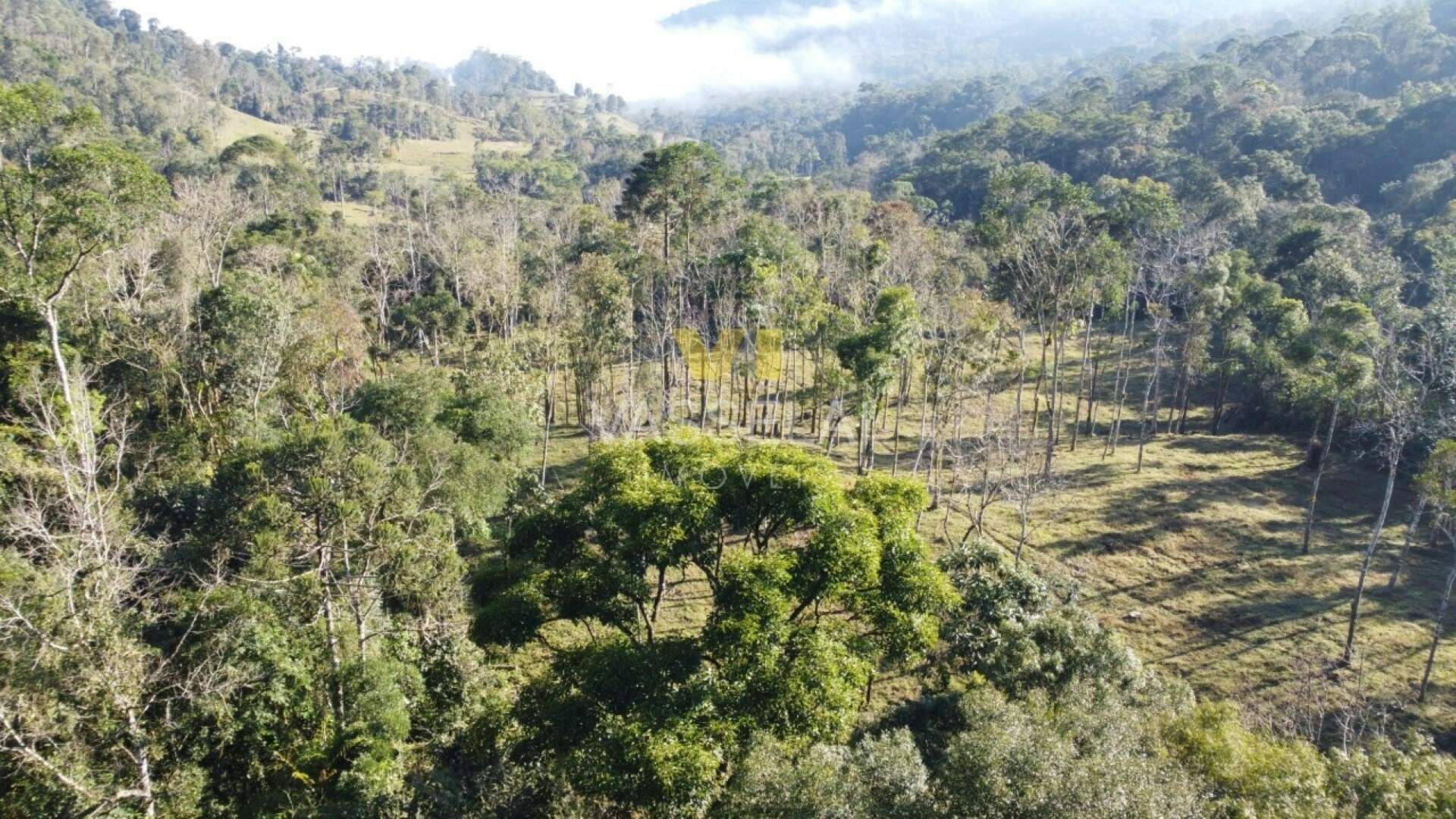 Terreno à venda no Não informado: 34.jpeg
