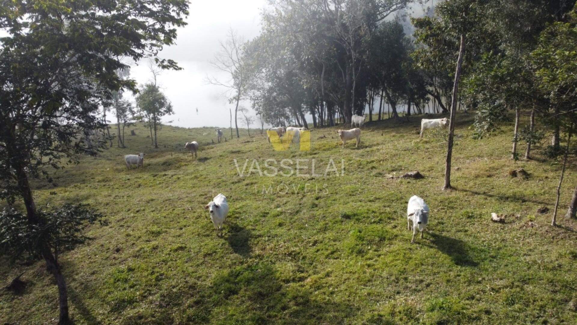 Terreno à venda no Não informado: 25.1.jpeg