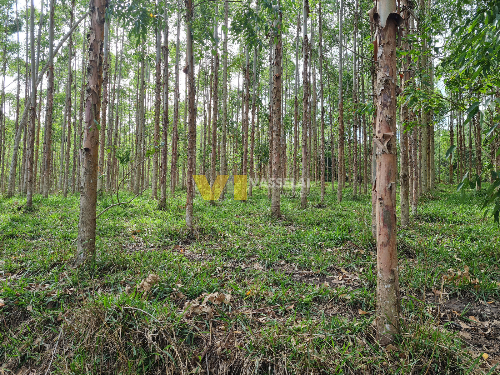 Terreno à venda no Serra Canoas: 21.jpeg