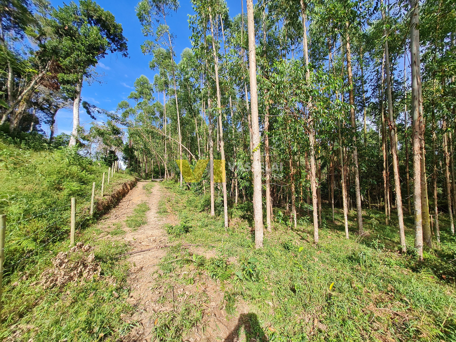 Terreno à venda no Serra Canoas: 13.jpeg