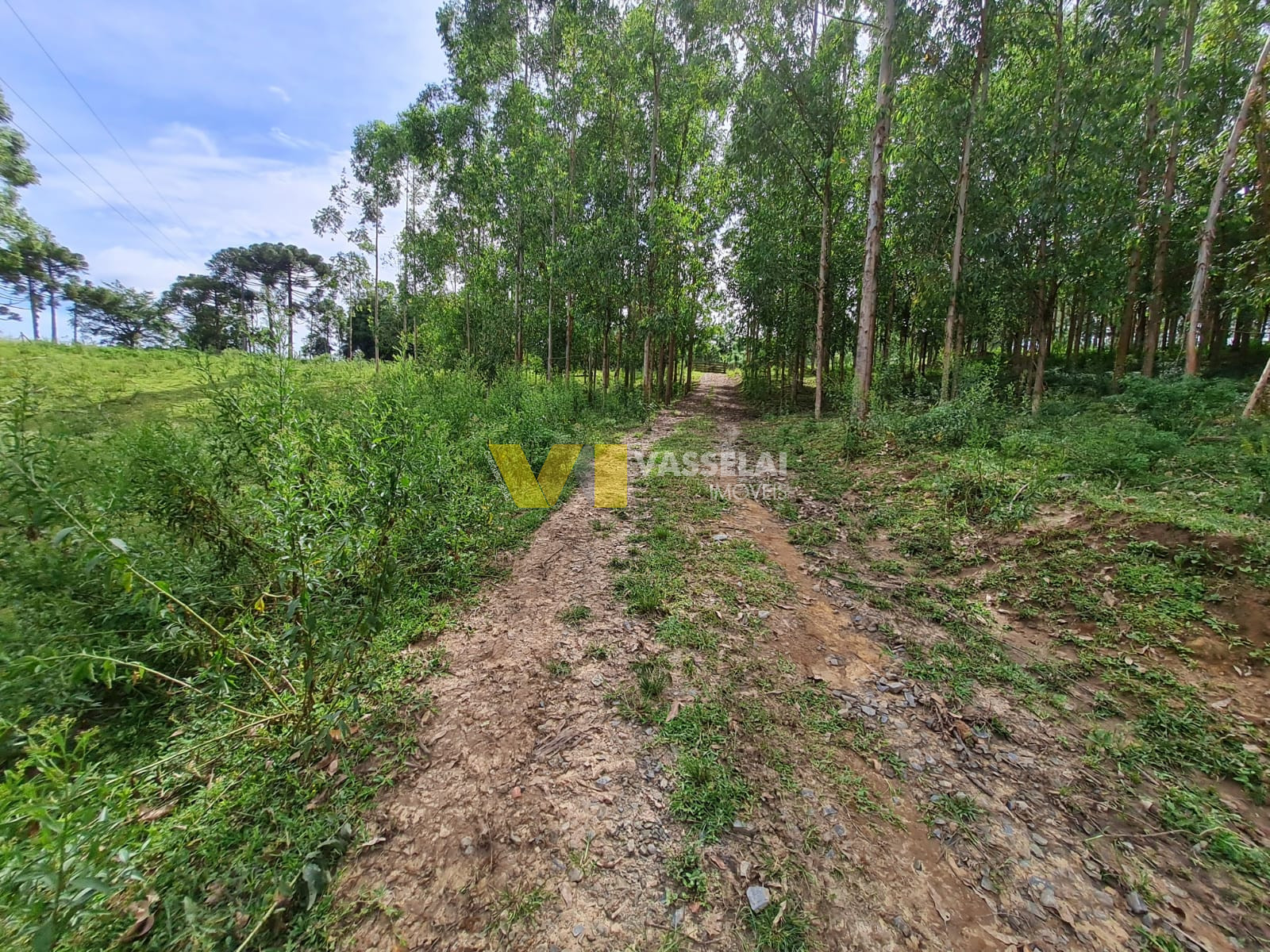 Terreno à venda no Serra Canoas: 20.jpeg