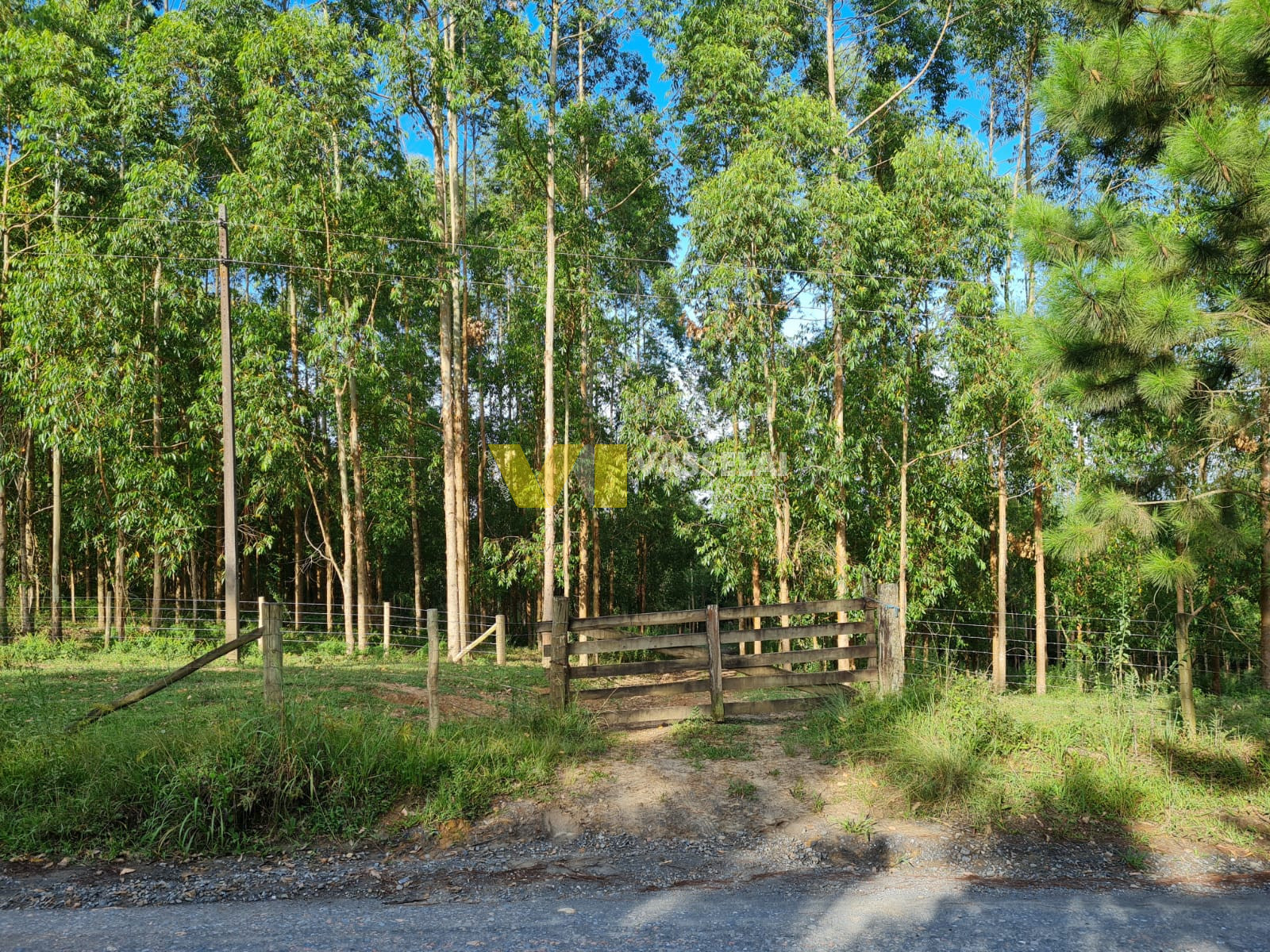 Terreno à venda no Serra Canoas: 0.jpeg