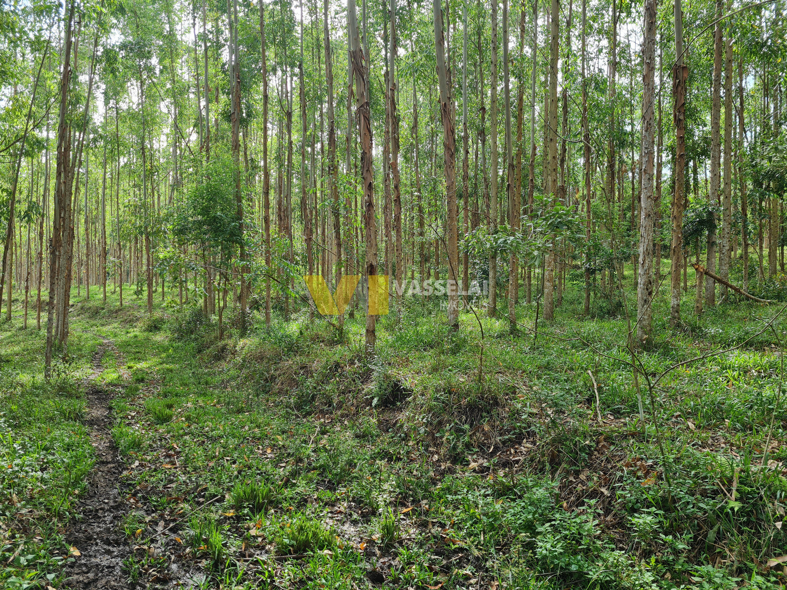 Terreno à venda no Serra Canoas: 17.jpeg