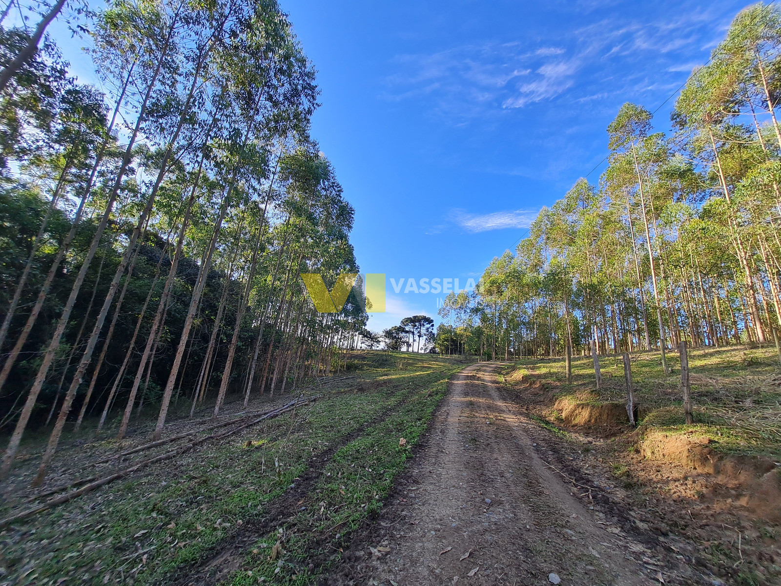 Terreno à venda no Serra Canoas: 8.jpeg