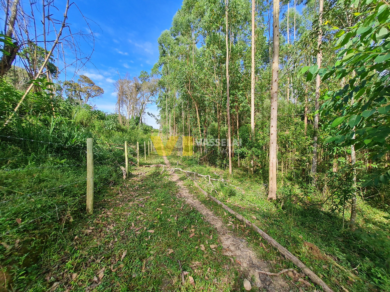 Terreno à venda no Serra Canoas: 12.jpeg
