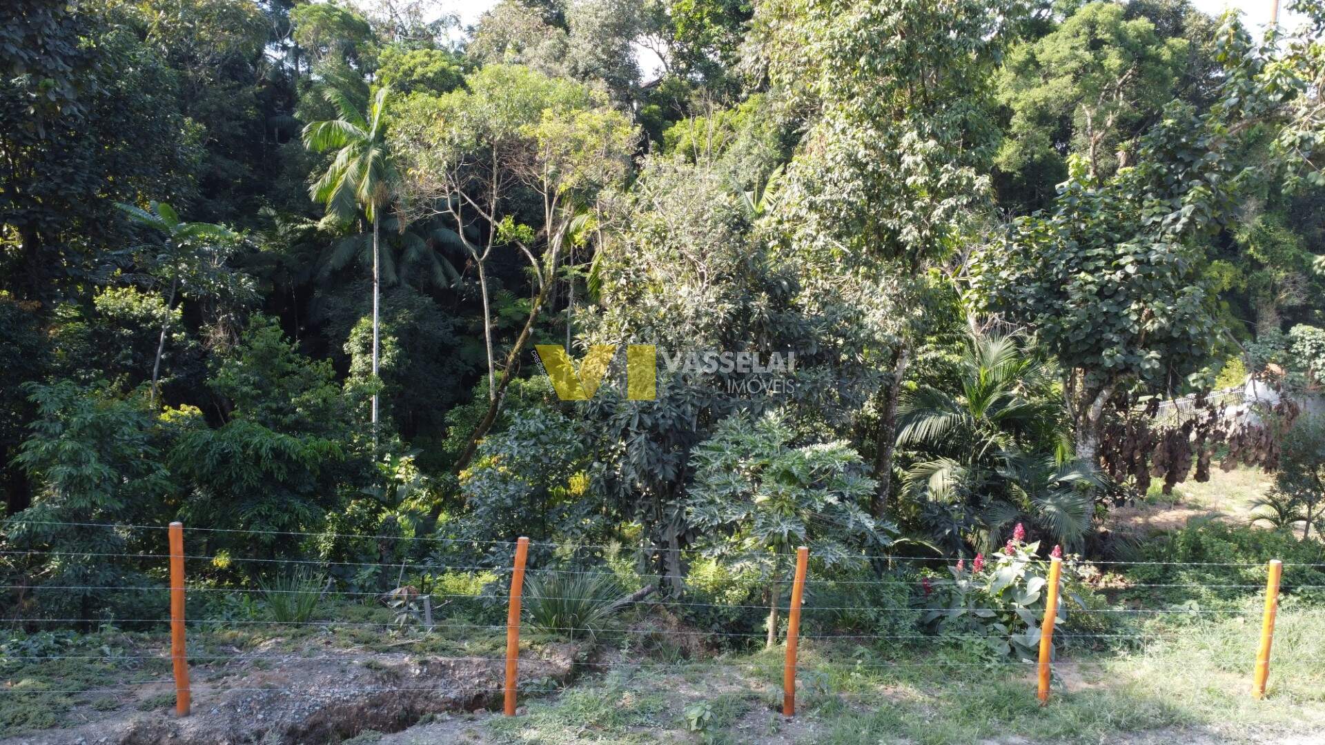 Terreno à venda no Progresso: 2.JPG