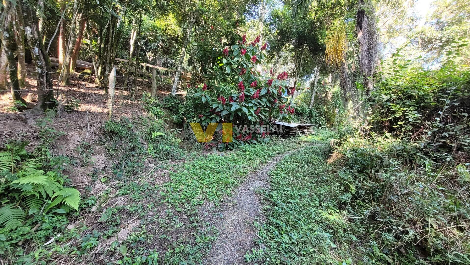 Casa à venda no Bela Aliança: 20230523_104244.jpg