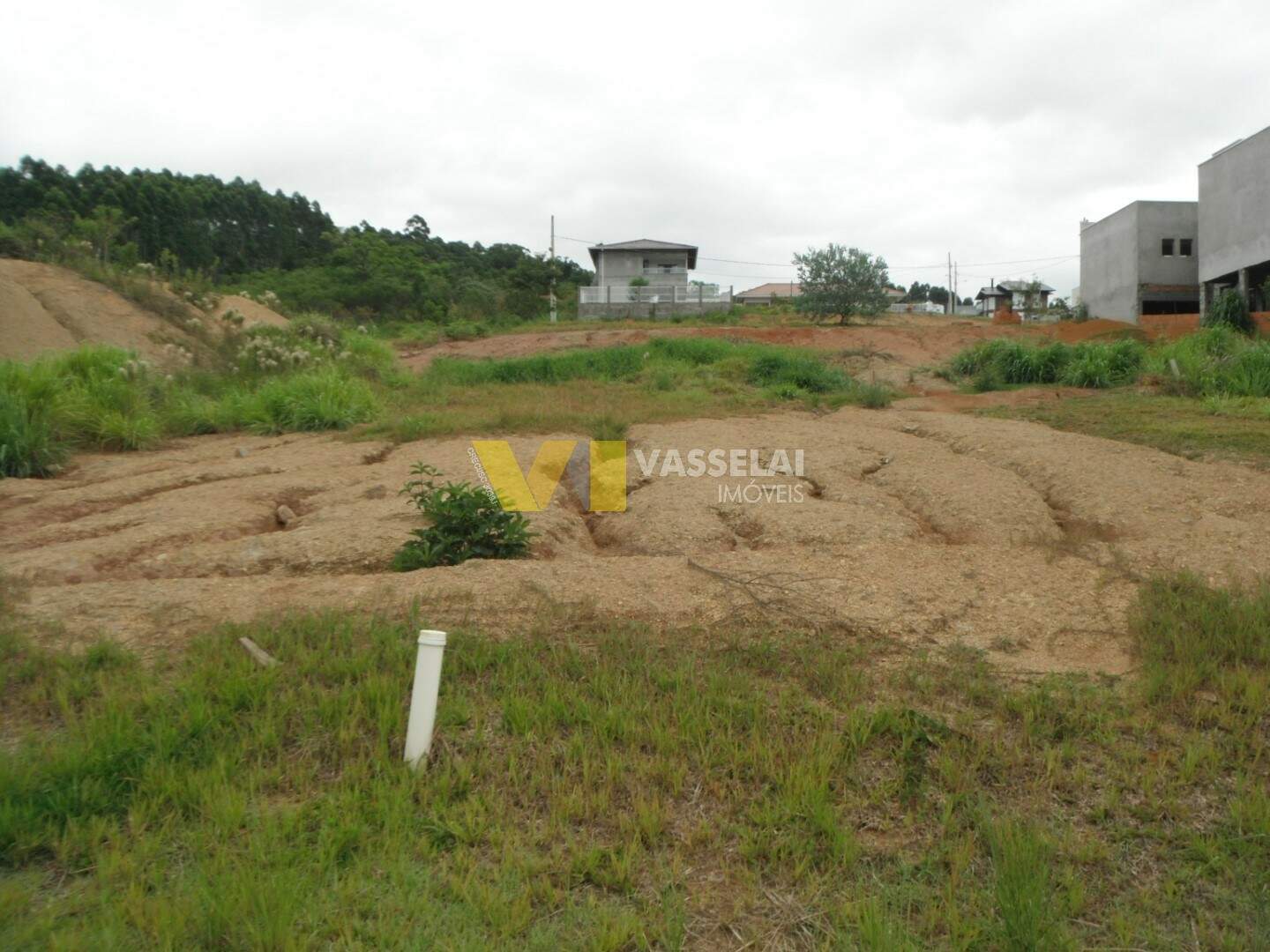 Terreno à venda no Bela Aliança: DSCF8608.JPG