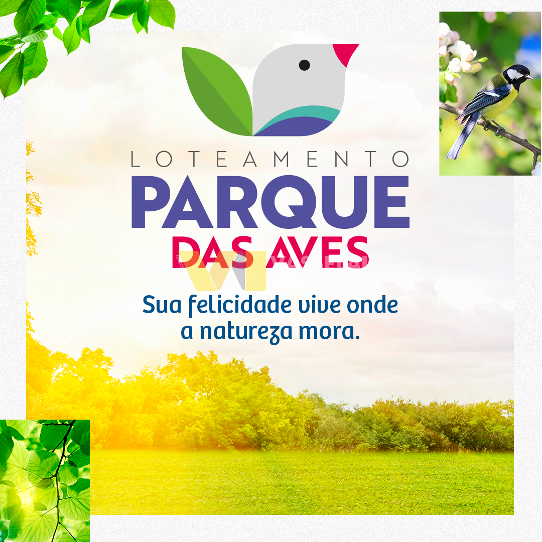 Terreno à venda no Barragem: PA_campanha-lançamento_feed_seq1.png