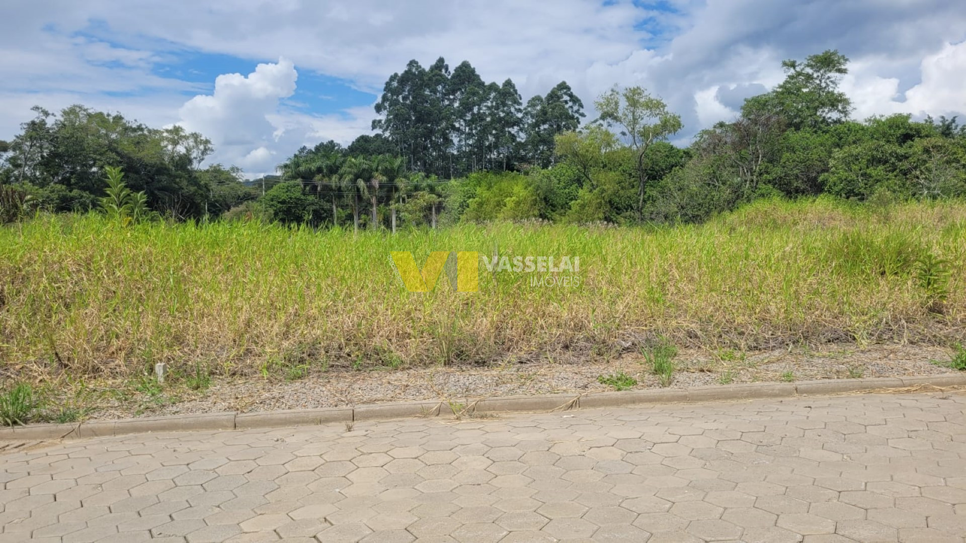 Terreno à venda no Pioneiros: 11.jpeg