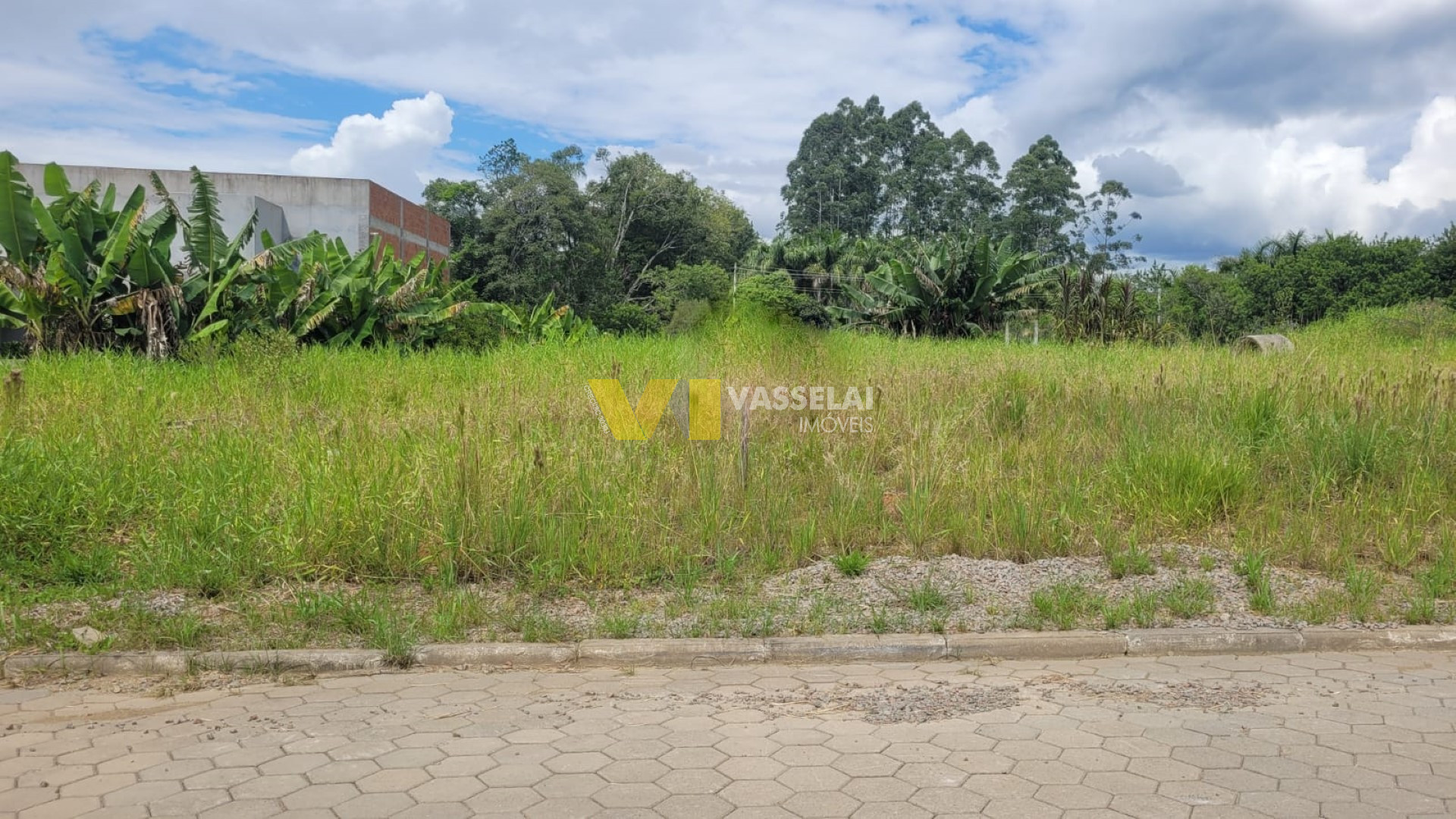 Terreno à venda no Pioneiros: 8.jpeg