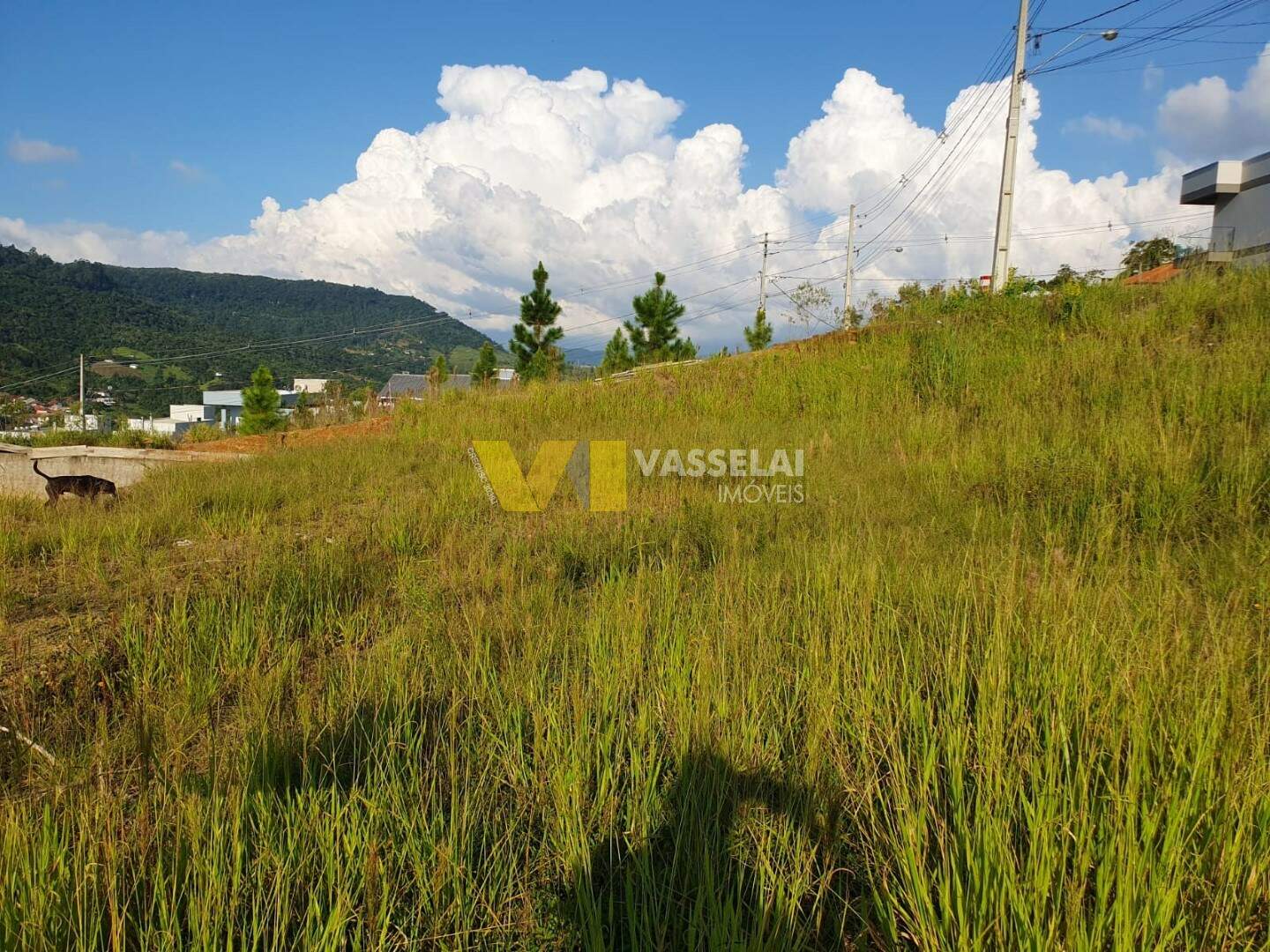 Terreno à venda no Fundo Canoas: WhatsApp Image 2024-03-01 at 17.17.19 (1).jpeg