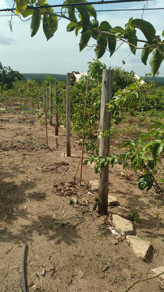 Chácara à venda no Rural: 