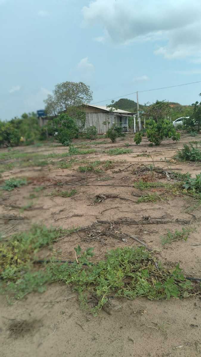 Chácara à venda no Rural: 