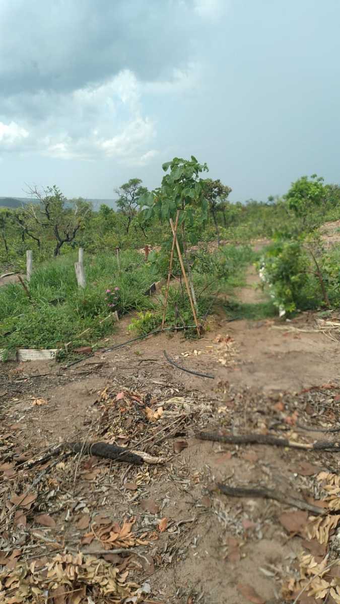 Chácara à venda no Rural: 