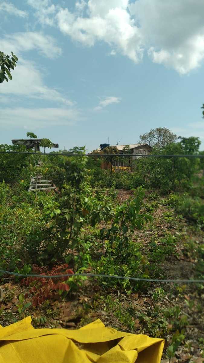 Chácara à venda no Rural: 