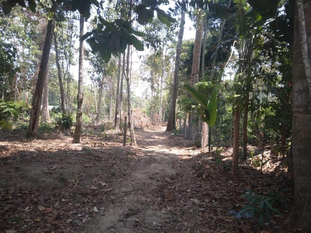 Lote à venda no Zona Rural: 