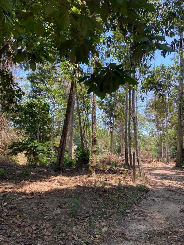 Lote à venda no Zona Rural: 