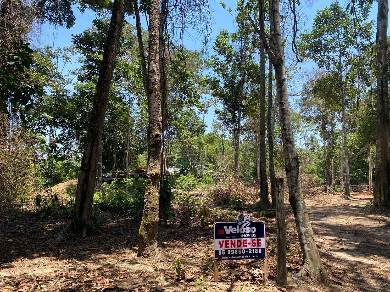 Lote à venda no Zona Rural: 
